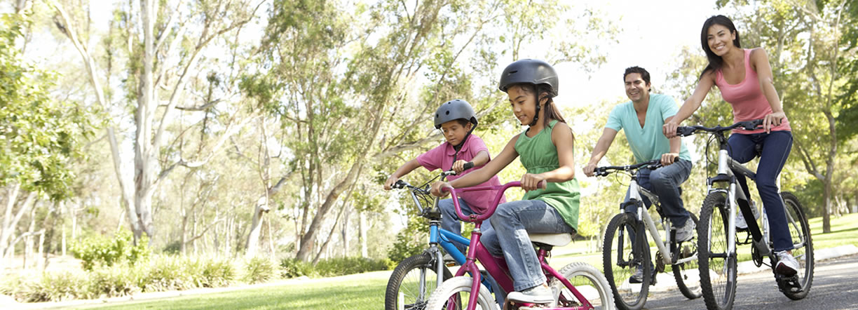 family riding bikes large